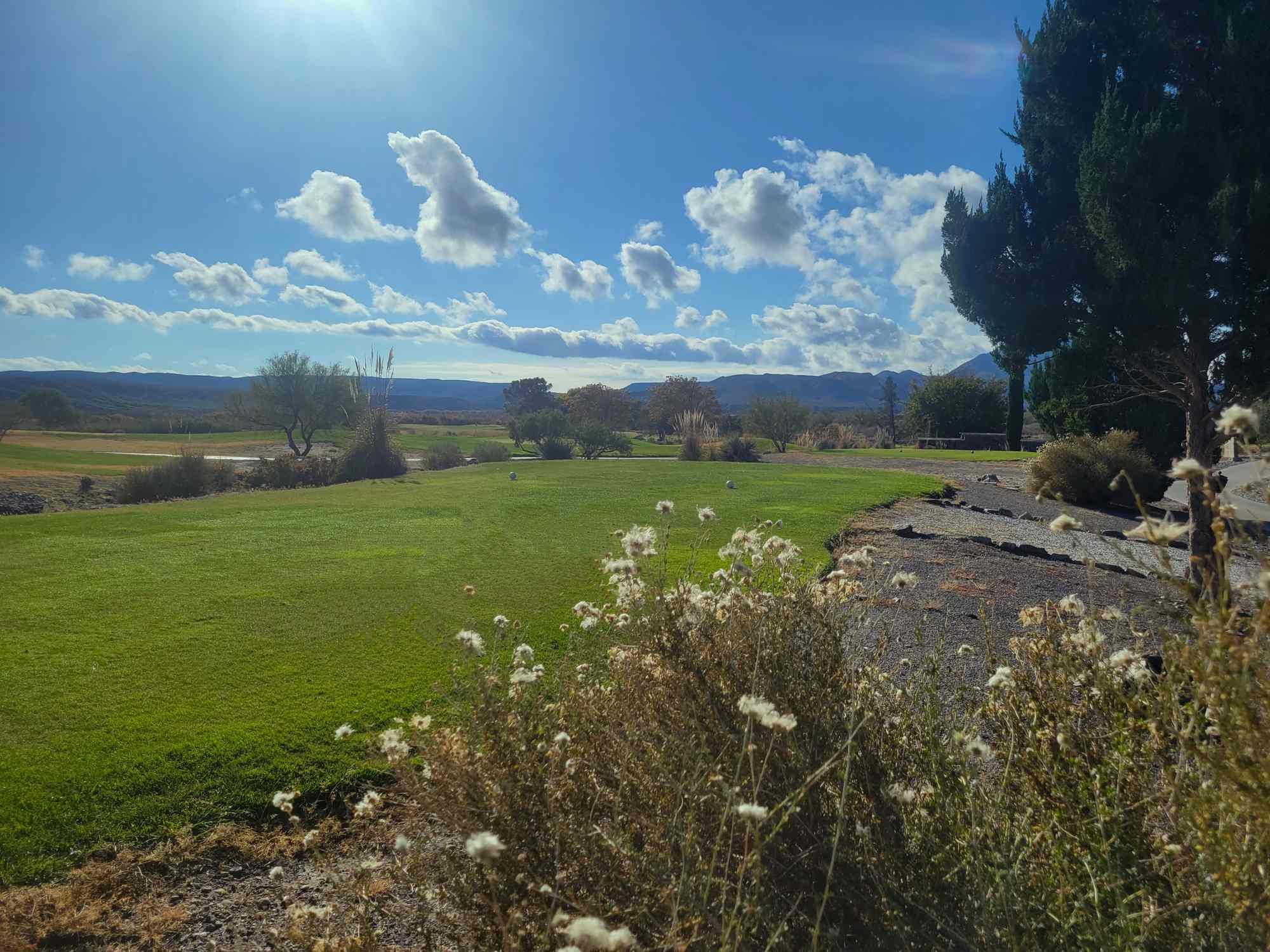 sierra del rio championship golf course with blooms